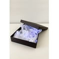 thumbnail image 1 of Perfect Holiday Gift Box Fairy Lights Pressure Activated - 10 LED or 20 LED, White 10 LED, 1 of 2