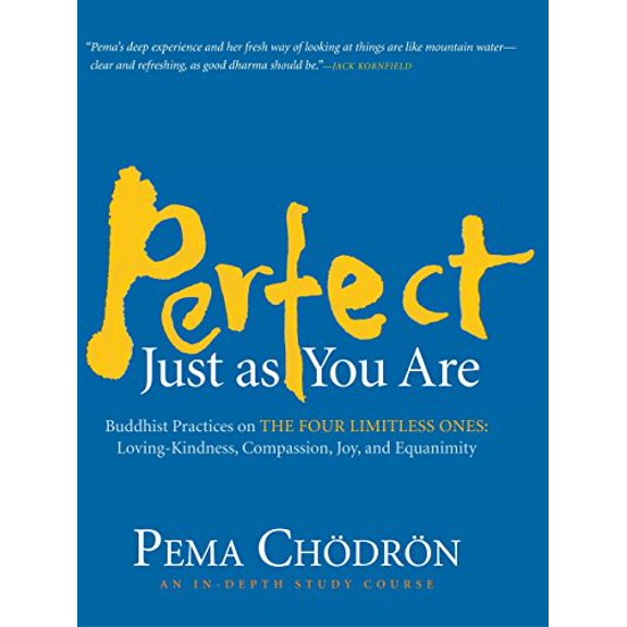 Pre-Owned Perfect Just as You Are : Buddhist Practices on the Four Limitless Ones: Loving-Kindness, Compassion, Joy, and Equanimity