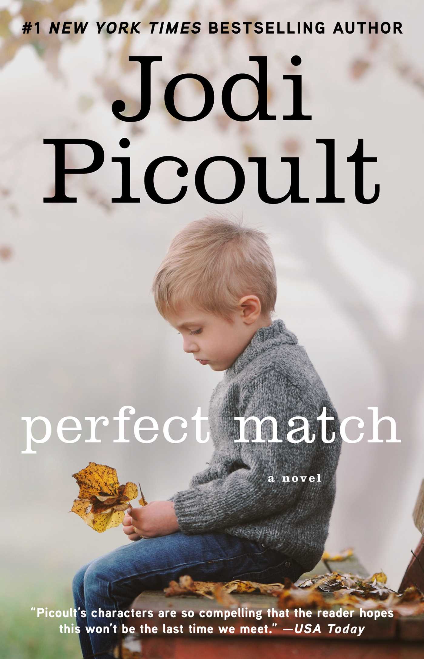 Perfect Match : A Novel (Paperback) - image 1 of 1