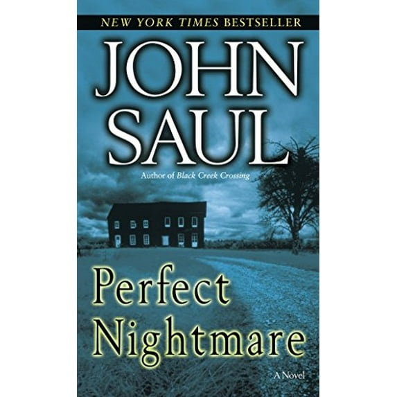 Pre-Owned Perfect Nightmare: A Novel