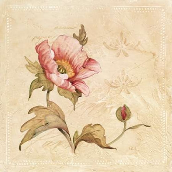 Perfect Peony I Canvas Art - Carol Robinson (24 x 24)