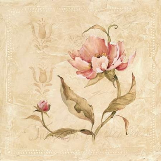 Perfect Peony II Canvas Art - Carol Robinson (24 x 24)