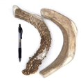 thumbnail image 1 of Perfect Pet Chews - Deer Antler Chew For Dogs - Mega Treat 2-Count, 1 of 9
