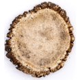 thumbnail image 1 of Perfect Pet Chews Elk Antler Burr Dog Chew - Grade A, All Natural, Organic, and Long Lasting Treats - Made from Naturally Shed Antlers in the USA - Large Treat, 1 of 4