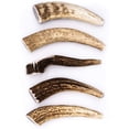 thumbnail image 1 of Perfect Pet Chews - Elk Antler Chew For Dogs - Small Treat - 5-Count, 1 of 7