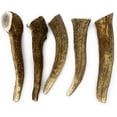 thumbnail image 1 of Perfect Pet Chews - Elk Antlers for Dogs Medium Treat - 5-Count, 1 of 5