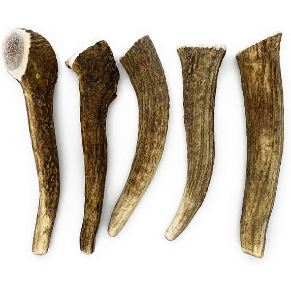 Perfect Pet Chews - Elk Antlers for Dogs Medium Treat - 5-Count