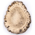 thumbnail image 1 of Perfect Pet Chews - Elk Burr Antler For Dogs Chew - Regular Treat, 1 of 7