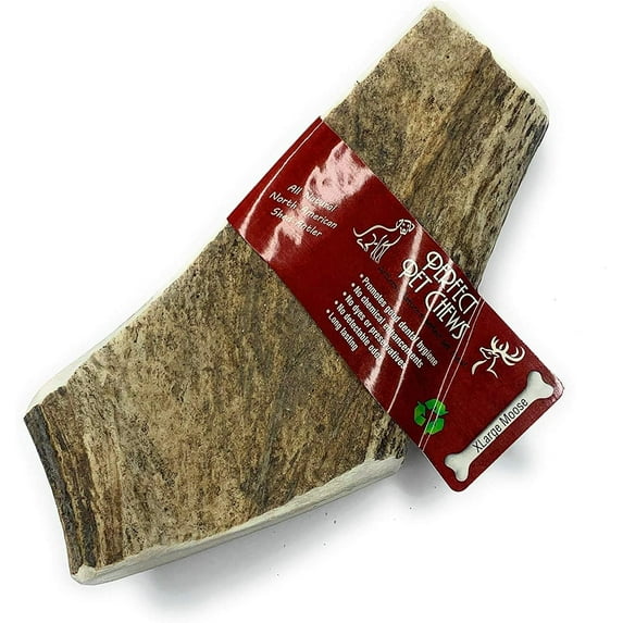 Perfect Pet Chews Moose Antler Dog Chew - Grade A, All Natural, Organic, and Long Lasting Treats - Made from Naturally Shed Antlers in the USA - Jumbo Treat