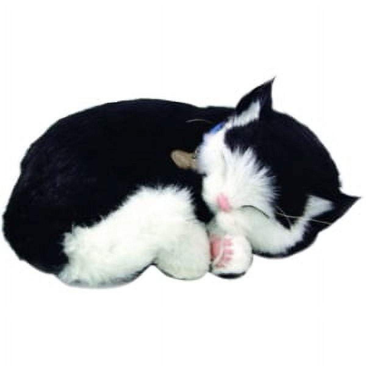 三毛猫 ぬいぐるみ perfect petzzz Amazon.co.jp: ニニアンドキノ パーフェクトペット (小サイズ