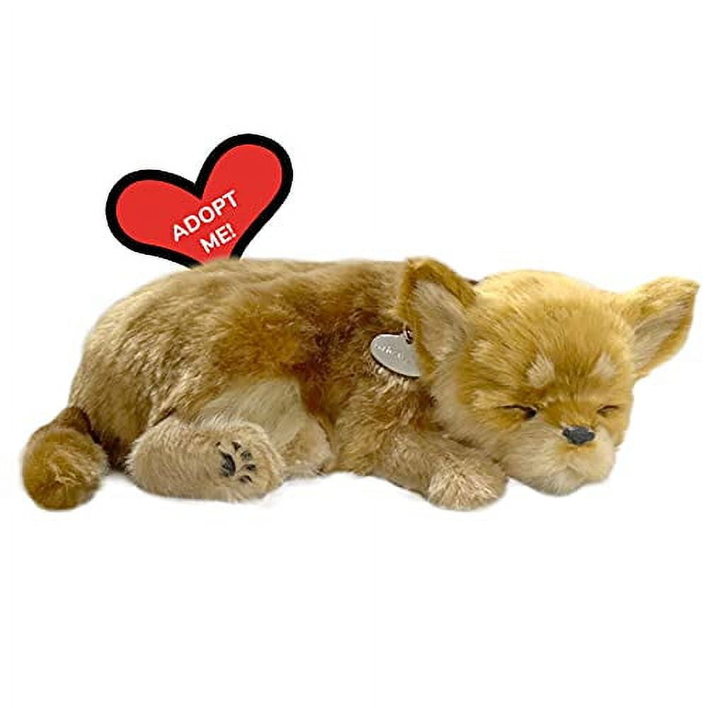 https://i5.walmartimages.com/seo/Perfect-Petzzz-Original-Petzzz-Chihuahua-Realistic-Lifelike-Stuffed-Interactive-Pet-Toy-Companion-Pet-Dog-with-100-Handcrafted-Synthetic-Fur_a355747f-6b01-4ce5-a415-ac229bccf3ef.18c5258762101cd058d3f3b54165c9b6.jpeg