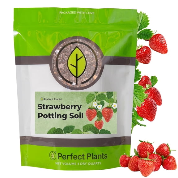 Perfect Plants Organic Strawberry Potting Mix | Organic Premium Mix | Use with Strawberry's, Pineberry's, or Other Fruit Plants (4qt)