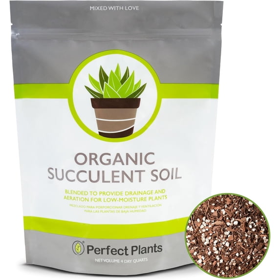 Perfect Plants Succulent & Cactus Soil Mix - 4 Quarts