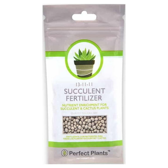 Perfect Plants Succulent Food - 5oz.