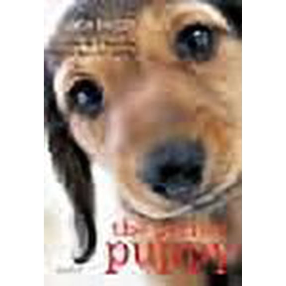 Perfect Puppy Gwen Bailey (Paperback)
