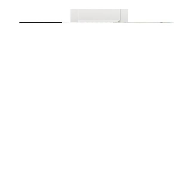 White Polypropylene Raised Panel Exterior Shutters, 15" x 51"