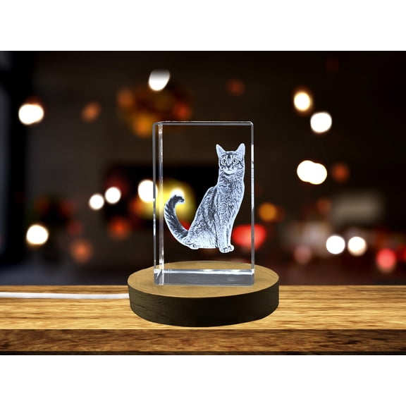 Perfect Somali Cat 3D Engraved Crystal Gift for Cat Lovers