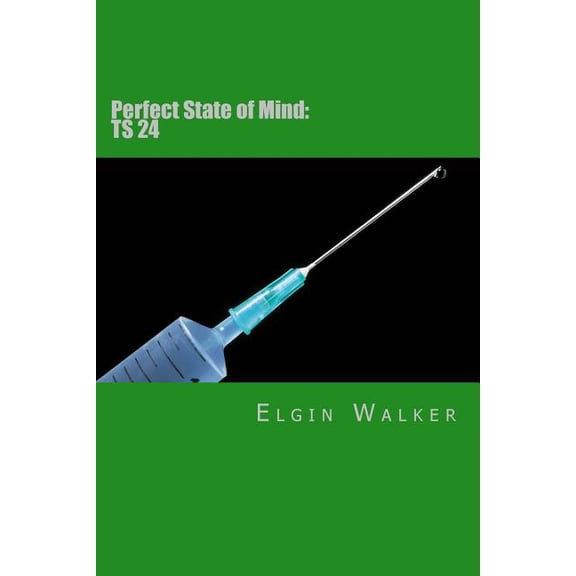 Perfect State of Mind: Perfect State of Mind: Ts 24 (Paperback)