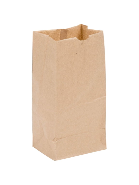 Brown Bag 4 100 4lb Brown Paper Lunch Bags Pack of 100ct