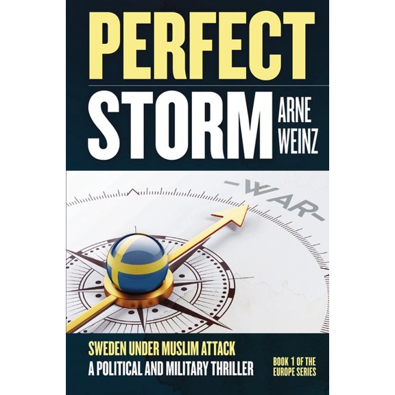 Perfect Storm, (Paperback)