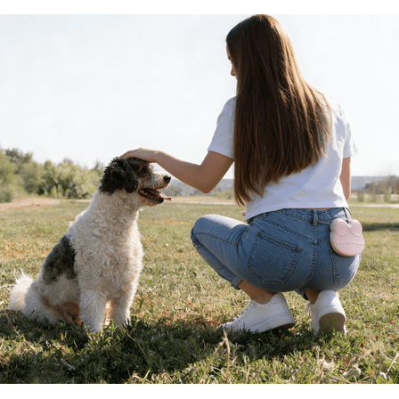 Perfect for Outdoor Training: Quick-Access Silicone Treat Pouch for Dogs