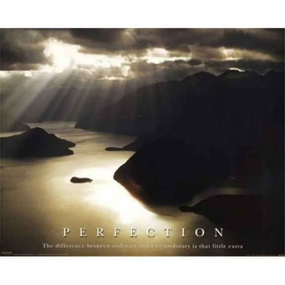 Perfection Poster Print - 20 x 16 in.