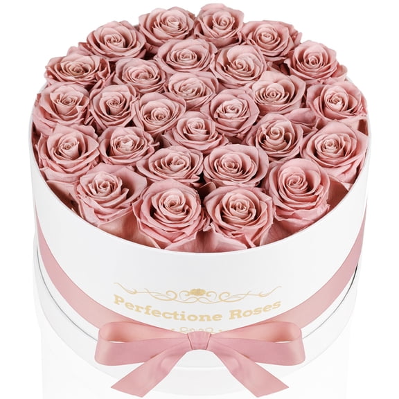 Perfectione Roses 27 Roses in a Box, Mothers Day Rose, Preserved Flowers for Her, Flowers for Delivery Birthday Gifts for Women (Dusty Rose) Y101