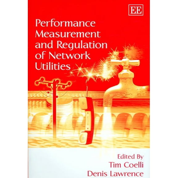 Performance Measurement And Regulation of Network Utilities