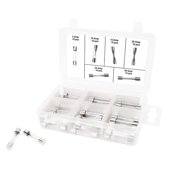 Performance Tool W5375 60pc AGC Glass Fuse Assortment (5A, 10A, 15A, 20A, 25A, and 30A) in a Clear Plastic Case