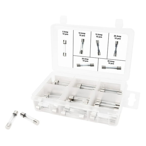 Performance Tool W5375 60pc AGC Glass Fuse Assortment (5A, 10A, 15A,  20A, 25A, and 30A) in a Clear Plastic Case