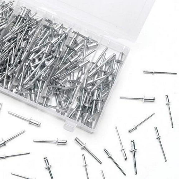 Performance Tools W5228 500 Piece Rivet Assortment