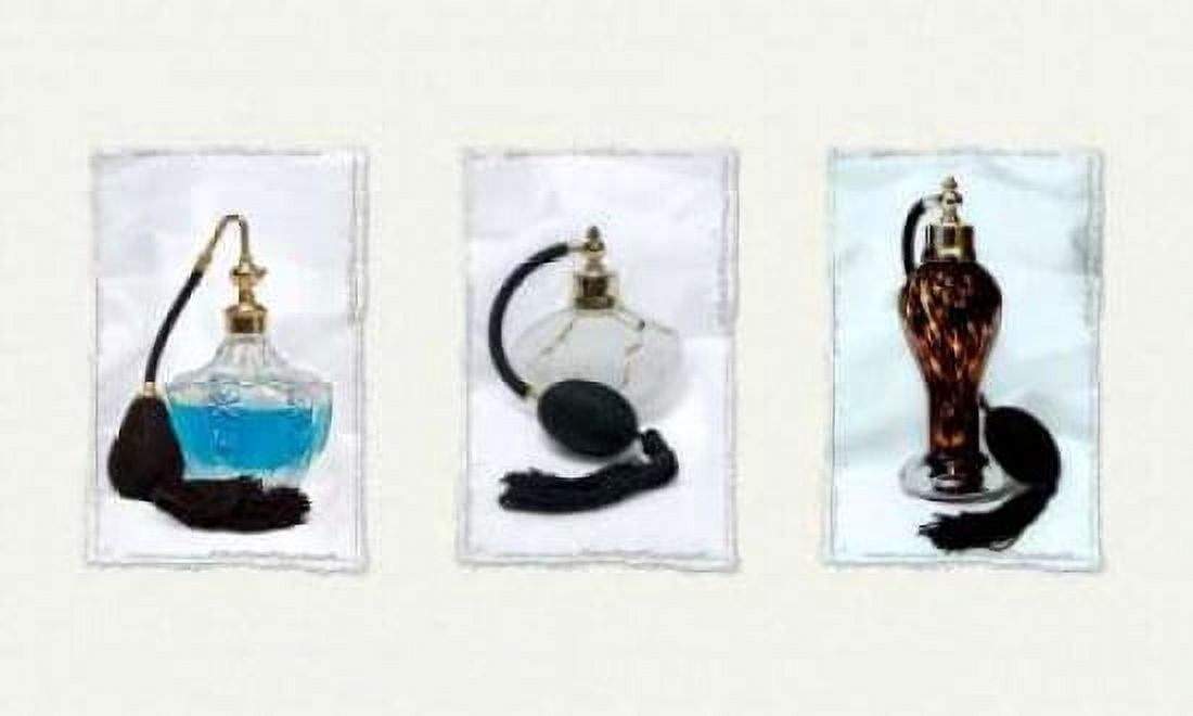 Perfume Triptych I Canvas Art - C Thomas McNemar (24 x 36)