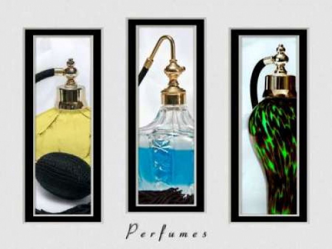 Perfume Triptych III Canvas Art - C Thomas McNemar (22 x 28)