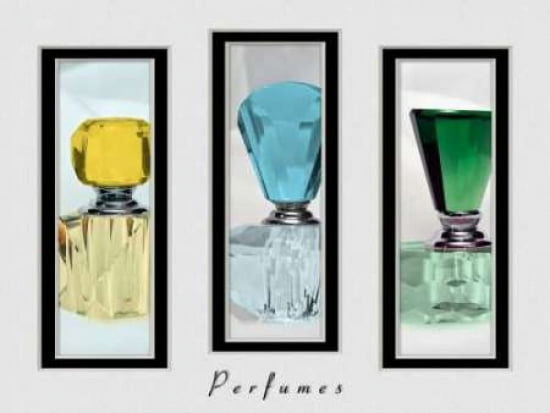Perfume Triptych IV Canvas Art - C Thomas McNemar (22 x 28)