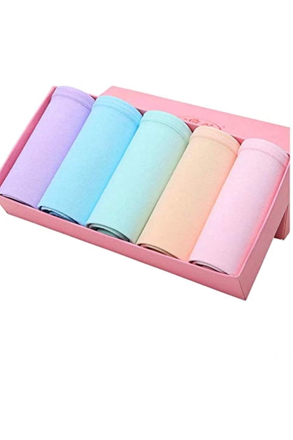 Period Panties Protective Menstrual Underwear Leak-Proof Easy Clean 2 Pack Black & Beige by Bargain 7000 (L Random Colors)