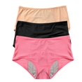 thumbnail image 1 of Period Underwear for Women, Audhol Women's Solid Color Physiological Underwear Breathable Mesh Underwear 3Pc Underwear Women Pack Pink6 3XL, 1 of 3
