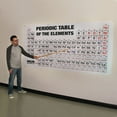thumbnail image 1 of Carolina Periodic Table Of The Elements Chart – Large Foldable Classroom Display | Durable & Easy To Read | Ideal For Science Labs & Chemistry Lessons, 1 of 3
