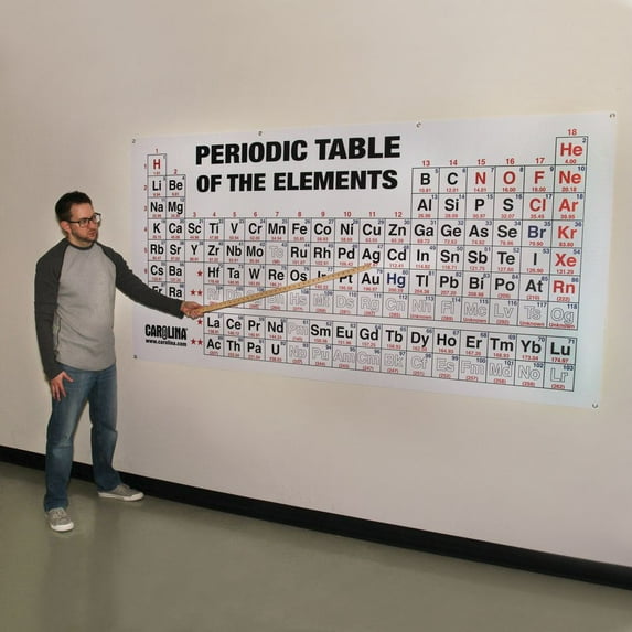 Carolina Periodic Table Of The Elements Chart – Large Foldable Classroom Display | Durable & Easy To Read | Ideal For Science Labs & Chemistry Lessons