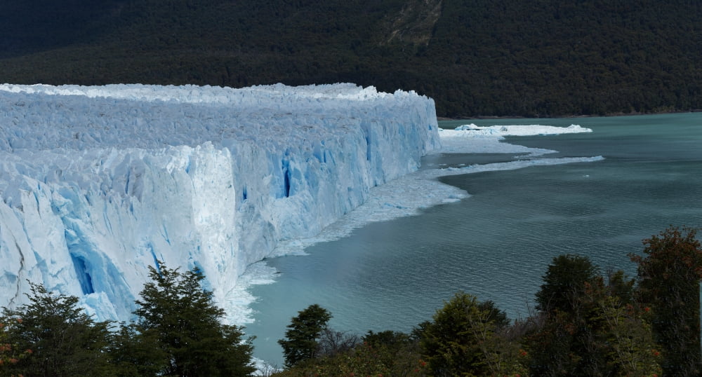 Perito Moreno Glacier Southern Patagonian Ice Field Los Glaciares National Park Patagonia Argentina Canvas Art - Panoramic Images (14 x 24)