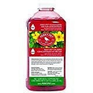 Perky-Pet Hummingbird Nectar Concentrate - Red Hummingbird Flavor - 2 Pack, 32 Ounce