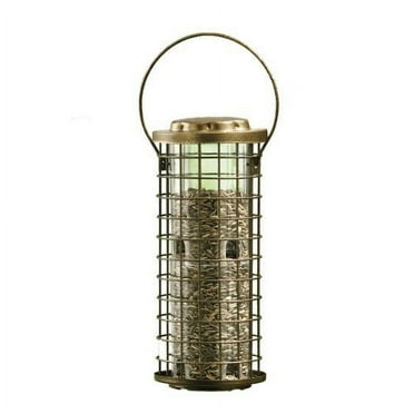 Perky-Pet 3 lb Squirrel Stumper Wild Bird Feeder