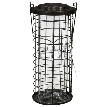 Perky-Pet 3 lb Squirrel Stumper Wild Bird Feeder