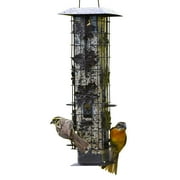Perky-Pet Squirrel-Be-Gone Bird Feeder, 2 lb Seed Capacity, 6 Feeding Ports
