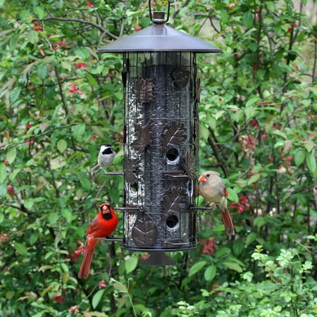 Perky Pet Brown Squirrel-Be-Gone III Wild Bird Tube Feeder - 8 lb Capacity