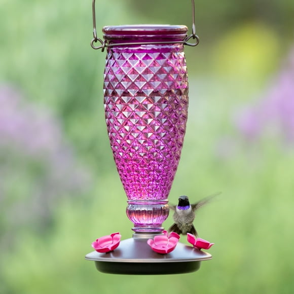 Perky-Pet Diamond Wine Top-Fill Glass Hummingbird Feeder