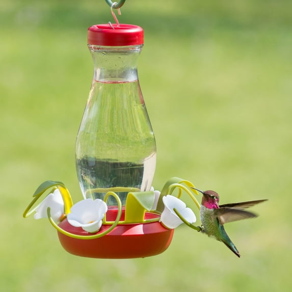Perky-Pet Funnel-Fill 16oz Glass Hummingbird Feeder
