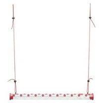 Perky-Pet 2 Cup Plastic Hummingbird Feeder Bar