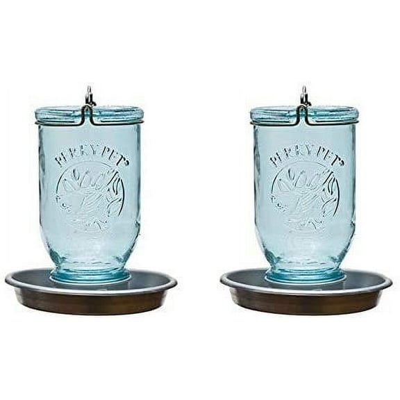 Perky-Pet Mason Jar Wild Bird Waterer - Freestanding, Outdoor Use - Pack of 2