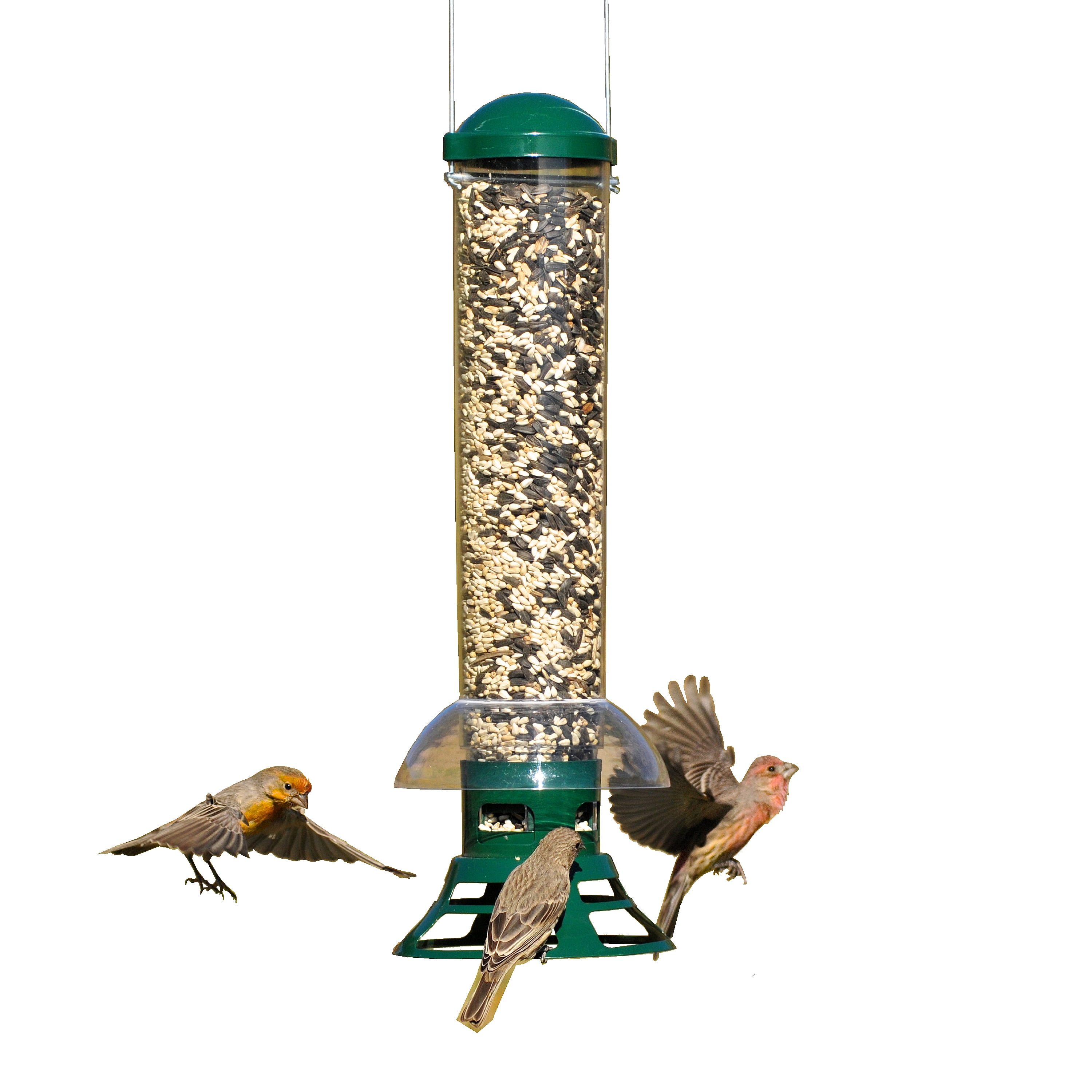 PerkyPet Green Squirrel Slammer Wild Bird Tube Feeder 3.5 lb