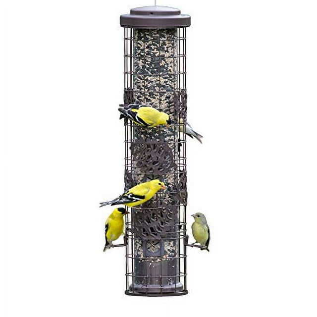 PerkyPet SBG101 Squirrel Off Max Pinecone Bird Feeder with Flexports